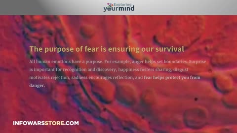 THE BIG BANKS ARE GUILTY OF CRIMES AGAINST HUMANITY