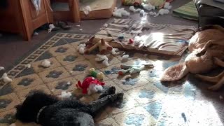 I don’t know what happened!