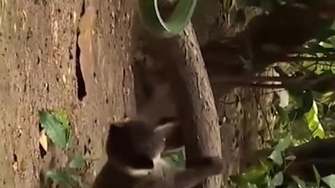 Rare video #shorts 2021-(1080p) https://www.youtube.com/watch?