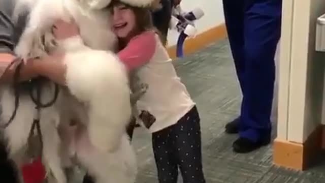 cute little girl is hugs the dog and having fun.