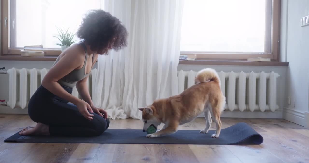 Fun Dog in Yoga Class