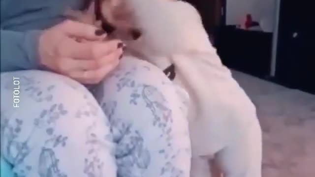 A baby artist