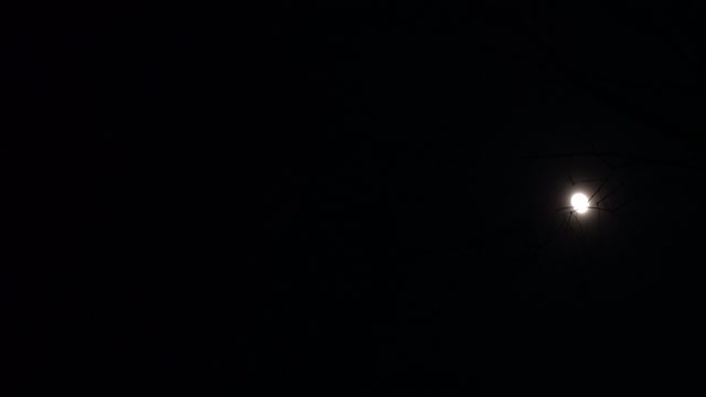 The moon shining brightly in the dark night sky.