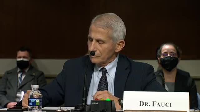 'You're Trying To Cover Your Ass': Paul And Fauci Clash Again In Heated Exchange