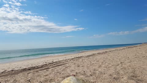 A Beautiful Day on Connecticut's Atlantic Shores