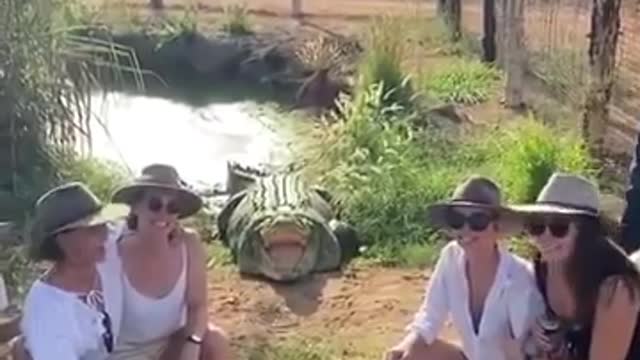 Australian women are more frightened when taking photo with crocodile.