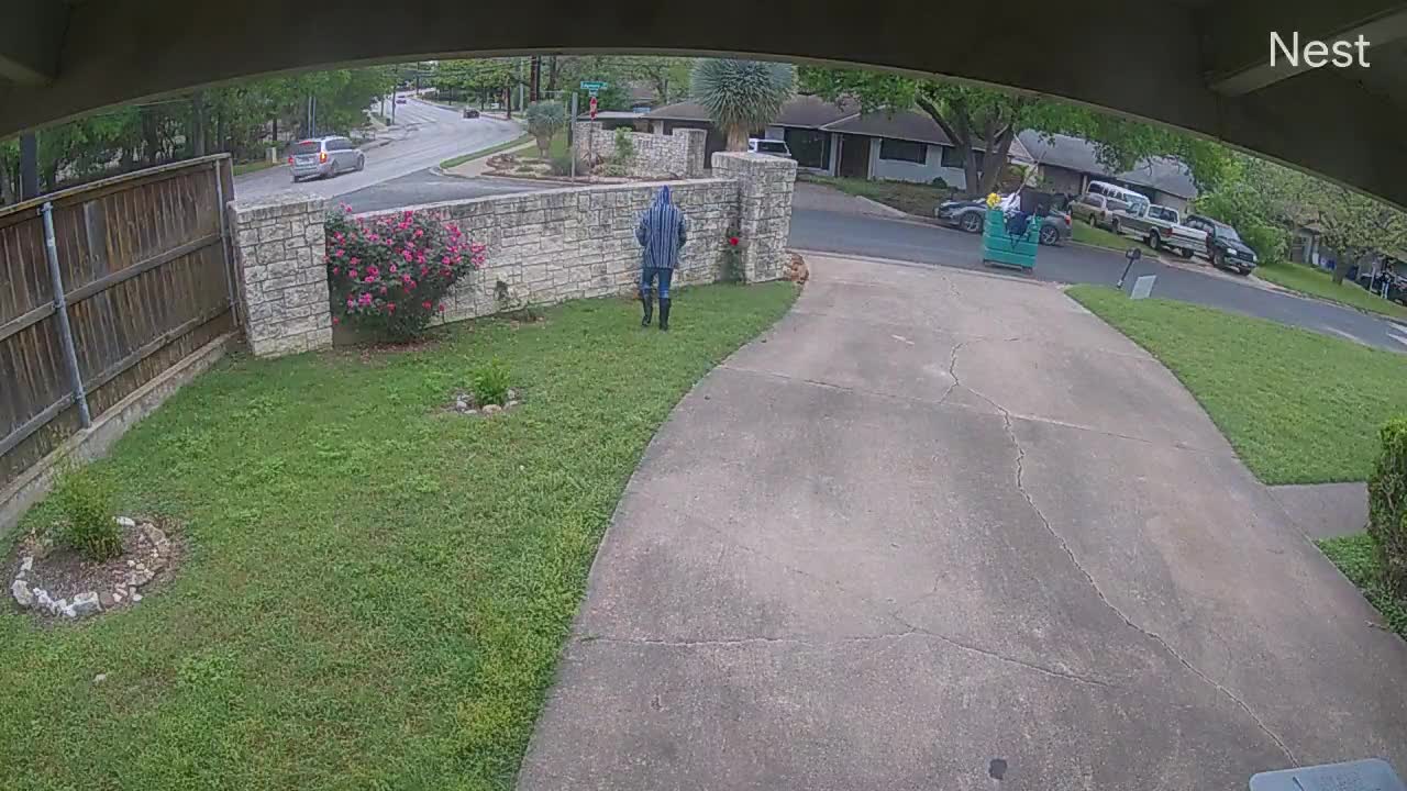 Vagrant trespasses into yard, cuts flowers, neighbors scared her off