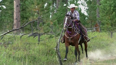 Galloping in Black hills South Dakota