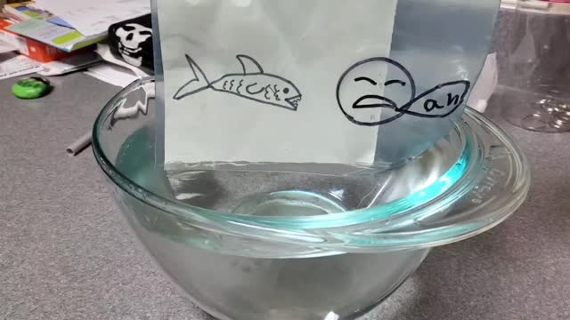 Drawing Disappears in Water