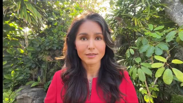 Tulsi Gabbard Hits Back at Mitt Romney for Calling Her ‘Treasonous’