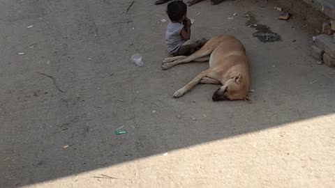 Baby and dog love deshi Indian