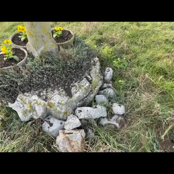 Freedom Cash Geocaching Paper Wallet - cozy land