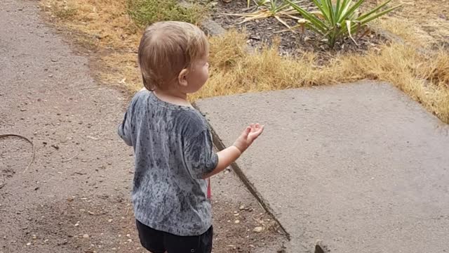 Excitement At Seeing Rain For The First Time