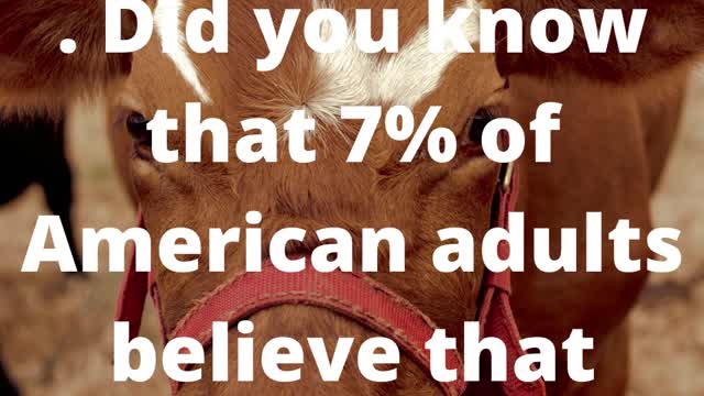 Did You Know Fun fact about Chocolate Milk