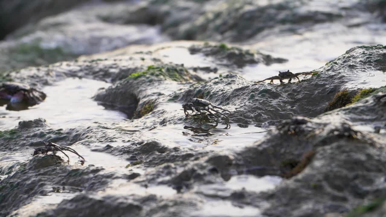 Scenic beach13