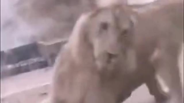 romantic when you get money