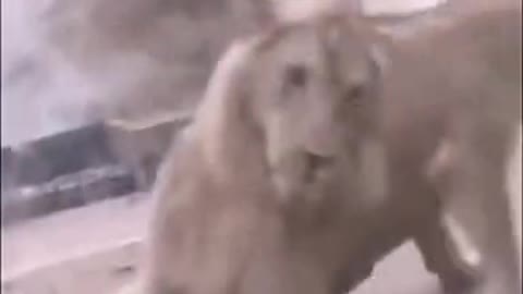 romantic when you get money