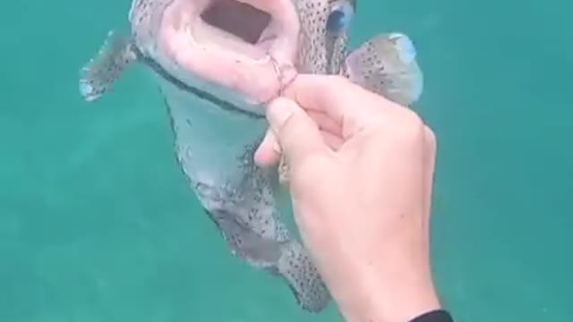 Sussy Bottle in the Ocean
