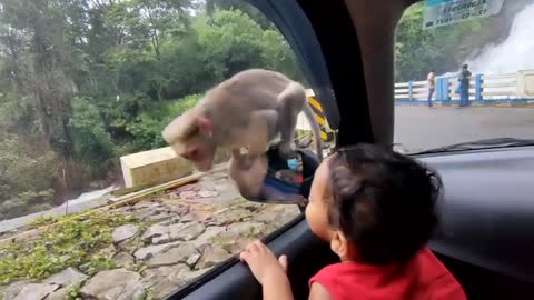 When I first saw a monkey