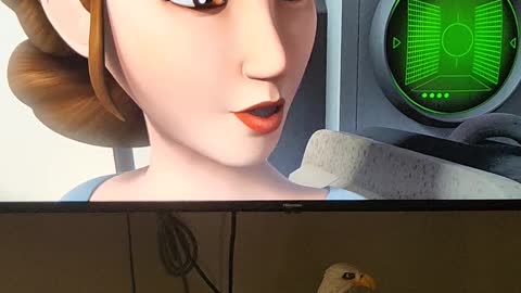 Aid to the Rebellion has to be in secret -- Starwars Rebels