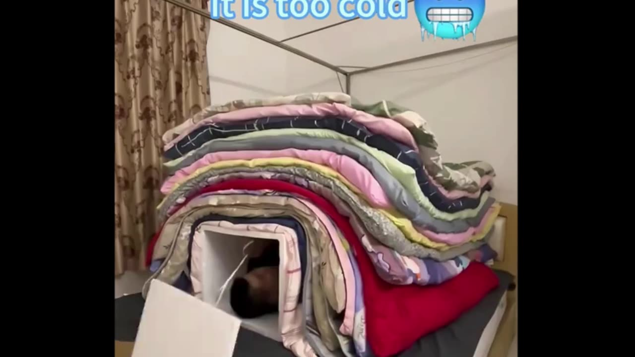 Bro built a blanket cave 😅