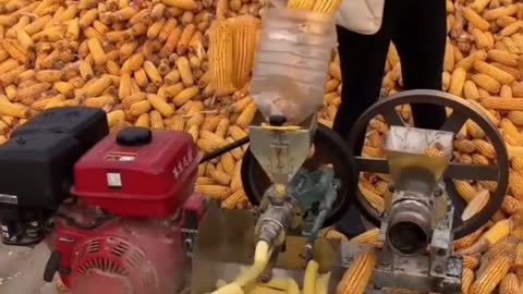 Efficient for shucking corn !