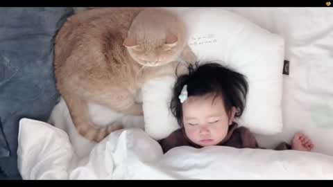 Cat and baby video