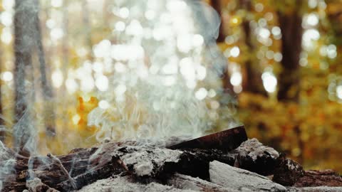 sounds of nature - smoke from the former campsite