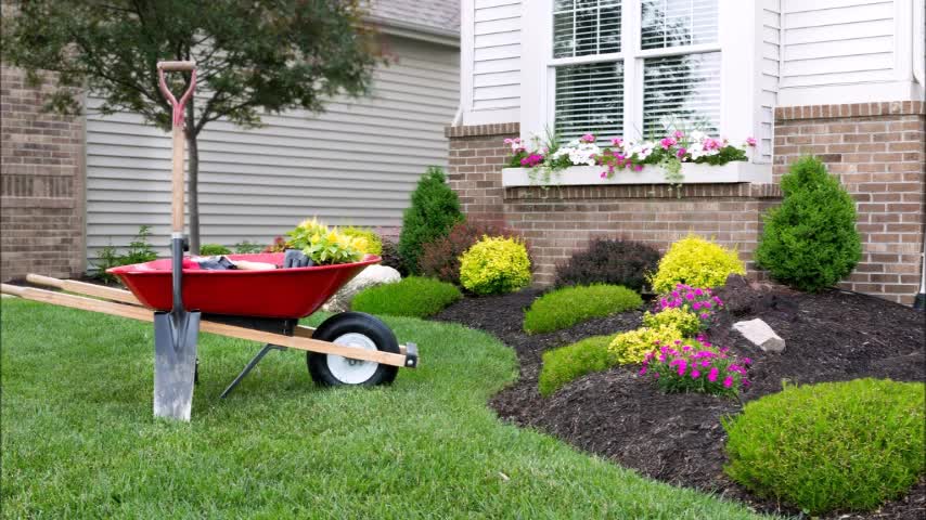 M&M Landscape - (559) 220-8058