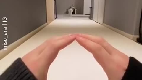 Cute_Dogs_Compilation_-_Funny_Dog_-_Cute_Puppy_s