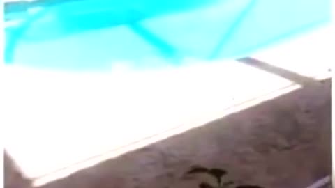 Vídeos engraçados