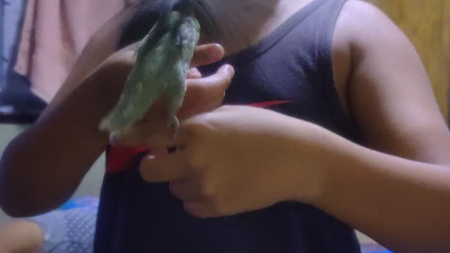 Lovebird with my nephew