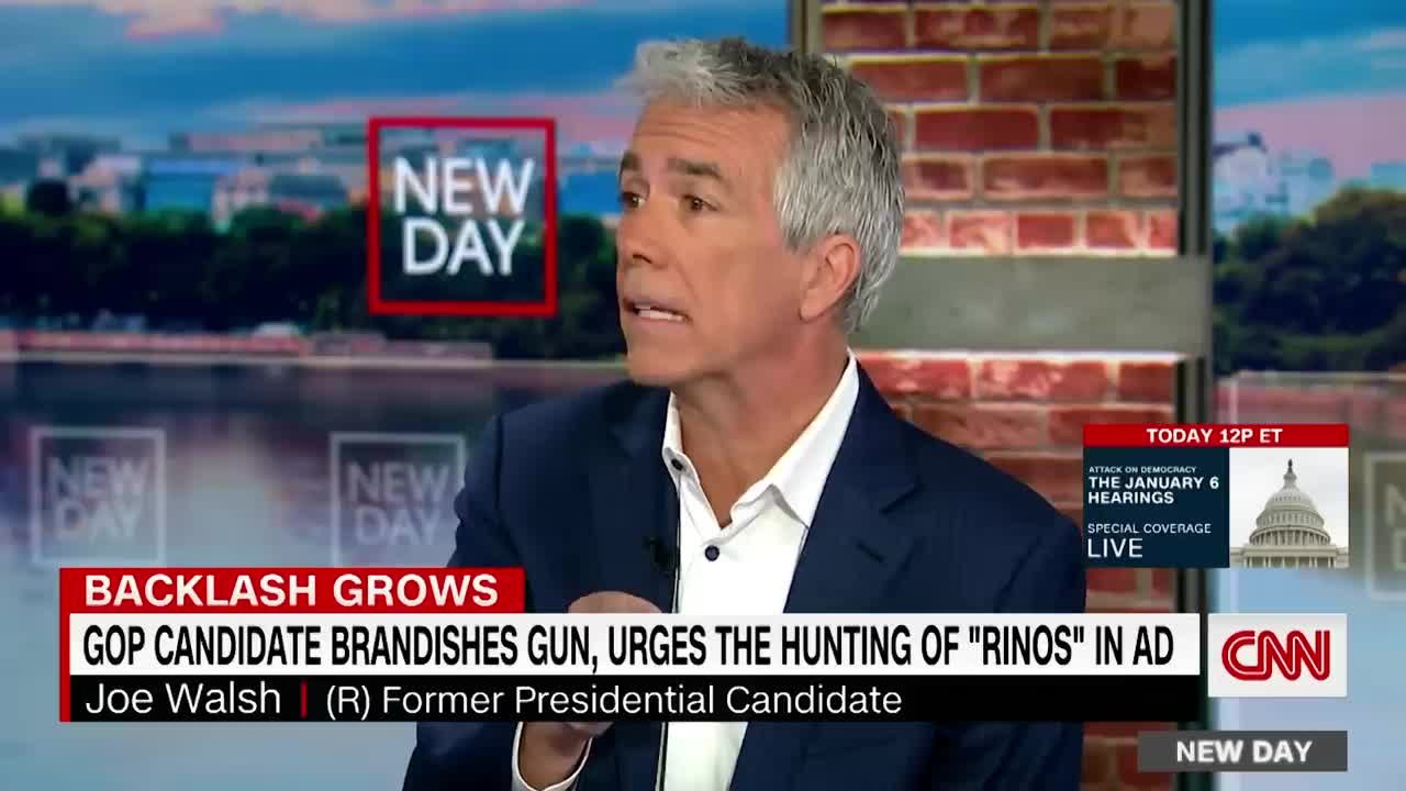 Ex-GOP congressman reacts to 'RINO' ad: This isn't fringe anymore