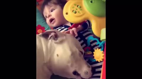Baby Playing with Dog || A Beautiful Friendship || Dog Love Baby Compilation