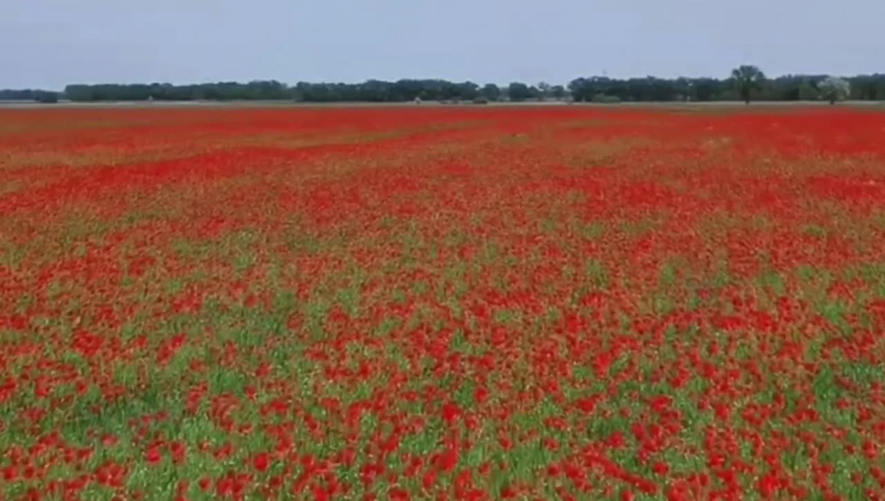 Beautiful places of our planet Part 1