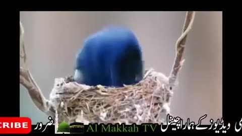 Khuda Ketna Bada Hai