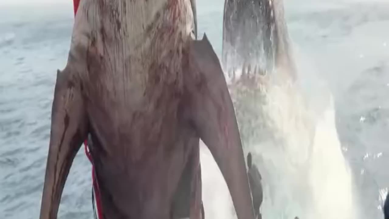 Best movie