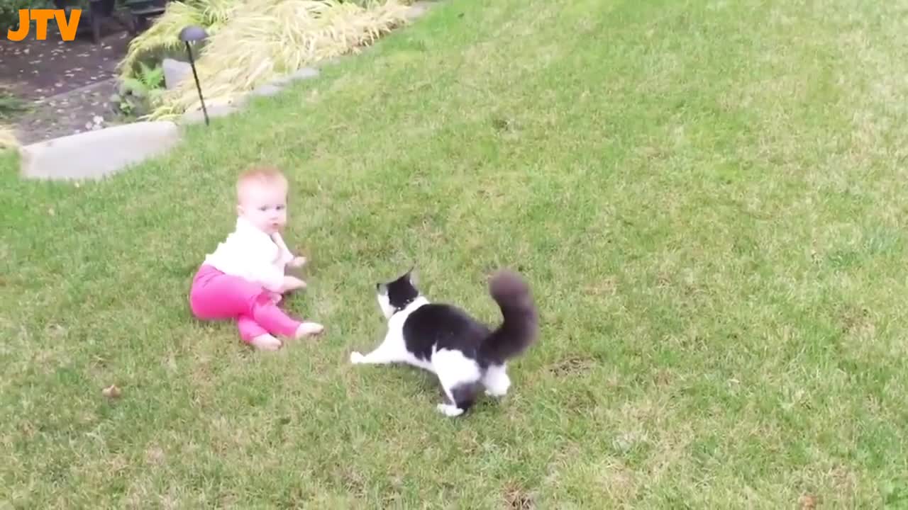 Cute Cat and Babies Playing Together...Funny Cat Videos!!