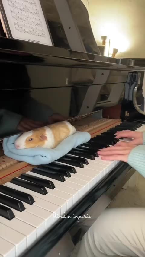 Play me a piano lullaby please 😊