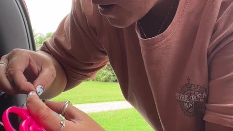 Helping A Turtle With Fishing Line Stuck in His Jaw