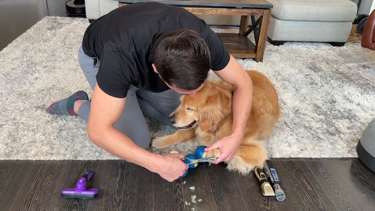 Do-It-Yourself Dog Paw Care