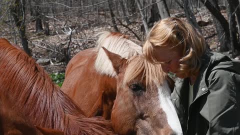A Woman Feeding Horses 2022