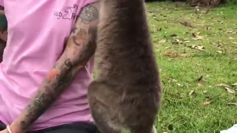 Exotic Animals | Pets Translated
