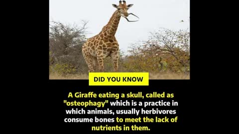 Top 10 Interesting Facts