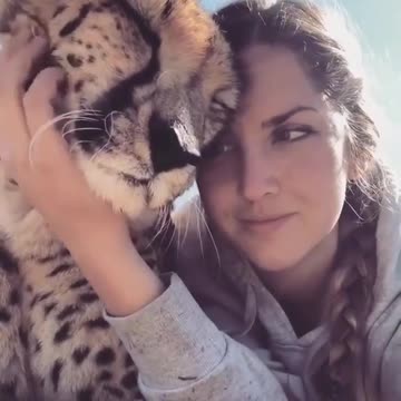 . What is the best word for this moment