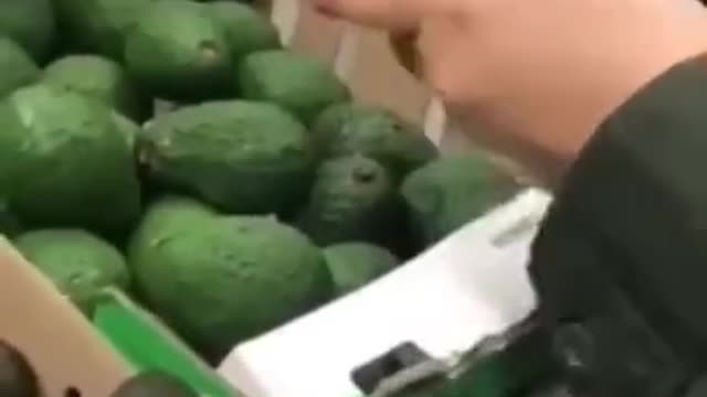 Cocaine in avocado