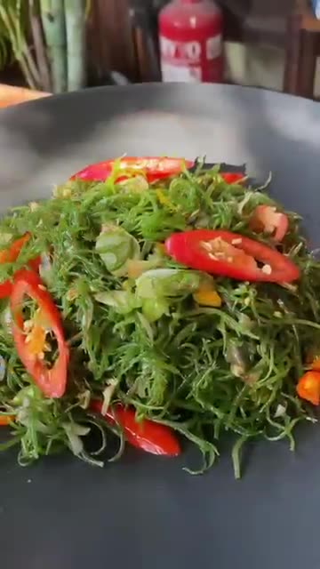 Jukut Bulung Gadang Megoreng or Stir Fry Gracilaria Seaweed🙏🏽😊 #bali #cooking #cookingclasses