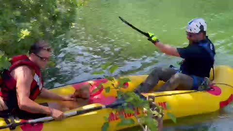 Rescue of dog trapped on a cliff in the Reservoir Hills area