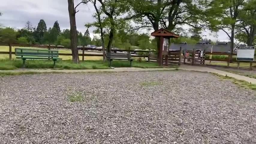 German Shepherd Attacks Pitbull [OFF LEASH DOG PARK]