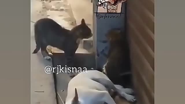 Funny